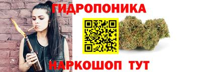 МДПВ Сланцы