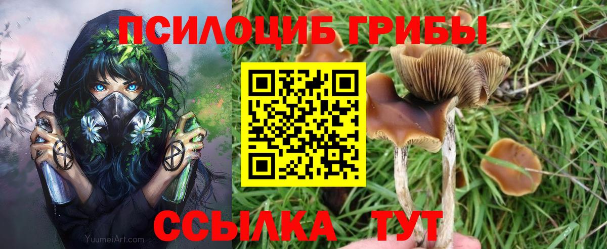 Псилоцибиновые грибы мицелий  Вход с VPN  Острогожск 