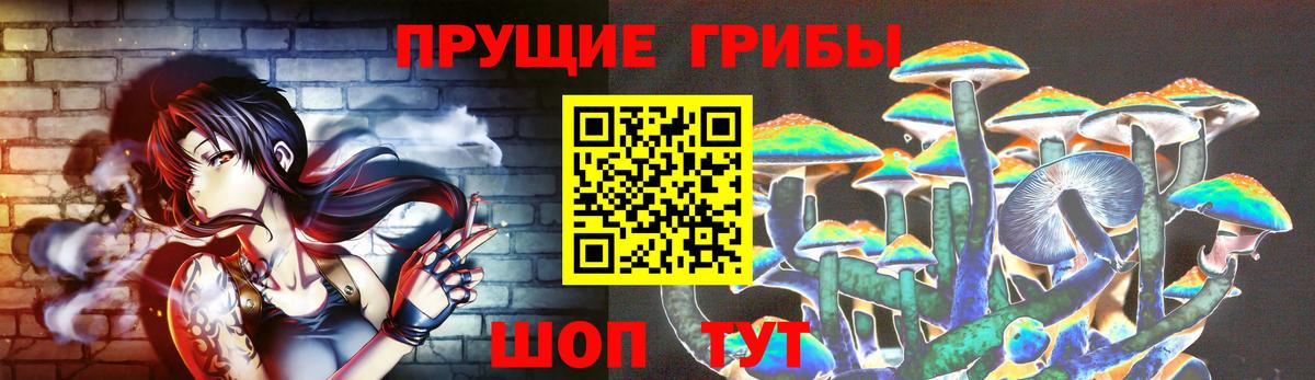Псилоцибиновые грибы GOLDEN TEACHER Острогожск